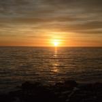 cambria_381 (November 03, 2018)